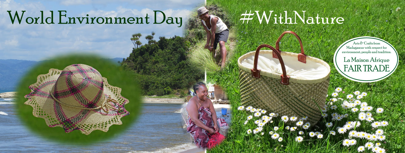 world environment day 5 june 2017